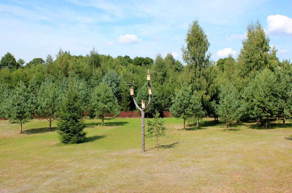 Ramybes Uostas Svedriske Exterior foto